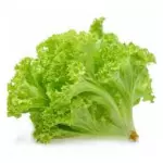 Lechuga Americana normal