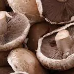 HONGO PORTOBELLO 250 GR