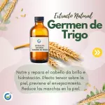 PROTEINA DE TRIGO