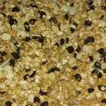 GRANOLA ESPECIAL (SIN AZUCAR AÑADIDO)