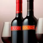 Colón