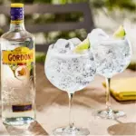 GIN TONIC GORDON
