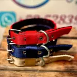 Collar de paseo