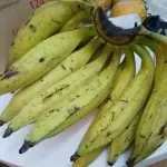 Banana da terra - Calais
