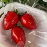 Trio Mini Morango Tamanho P