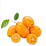Kinkan 0,250G