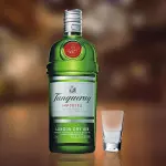 Dose Gin Tanqueray