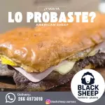 LOMO XL AMERICAN SHEEP