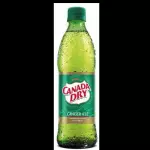 Canada Dry