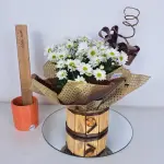 A443 Margarida "Boas Energias"