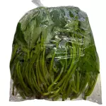 一包番薯叶 hoja de camote