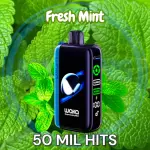 Fresh Mint