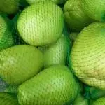 CHAYOTE MALLA