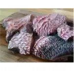TUNA