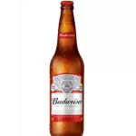 CAIXA Budweiser 600ml c/24 UNIDADES