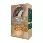 Nutrópica Natural Trinca Ferro 300g