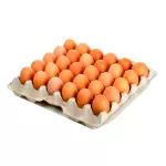 CARTON DE HUEVOS