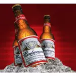 Budweiser Long 330ml