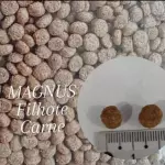 MAGNUS FILHOTE CARNE 1KG