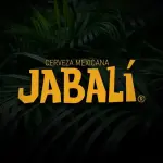 Cerveza Artesanal