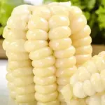 Choclo
