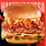 HAMBURGUESA ESPECIAL+ PAPAS FRITAS