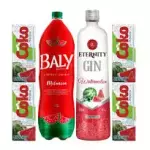 Gin Eternity melancia