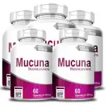Mucuna