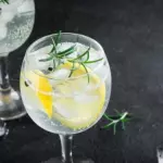 Gin Tônica