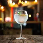 Gin Tonica