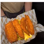 TENDERS DE POLLO