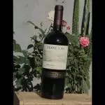 CONCHA Y TORO TERRUNYO CARMENERE