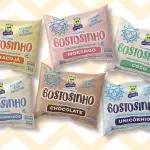 Gostosinho ( sorvete de saquinho)