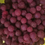 Bola Tajín 100 gr.