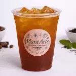Kombucha