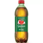 Antarctica Guaraná (600ml)