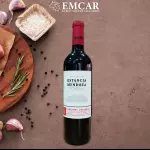 VINO ESTANCIA MENDOZA 750 ML