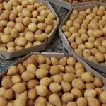 Coxinha, quibe e bolinha de queijo