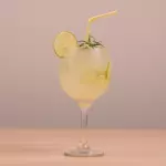 Gin com Tônica