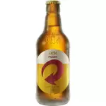 Skol 300ml