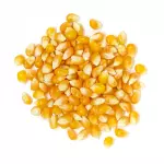 MAIZ POP CORN 400GR