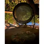 TEPARAPIA DE GONG