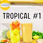 TROPICAL #1