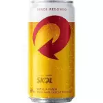 Cerveja Skol 269ml
