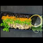 SALMÃO  CROST