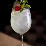 The gin fizz