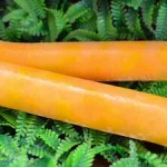 Manga com Água de Coco - 140g