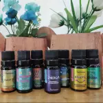 Essencias Via Aroma 10ml Sensações