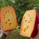 Queijo Picu-Tipo Gouda PREMIADO