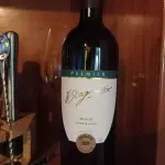 Merlot Premier H. Stagnari tinto